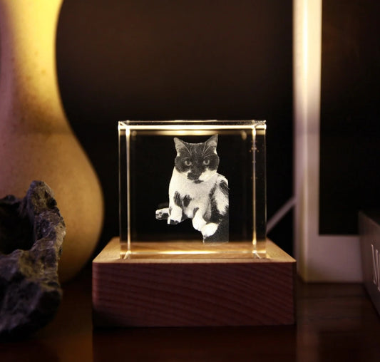 Xpopart Personalized 3D Pet Portrait Crystal Tower, Custom Picture, Pet 3D Pictures in Glass, Engraved Glass Picture Cube Keepsake, Couple Gift