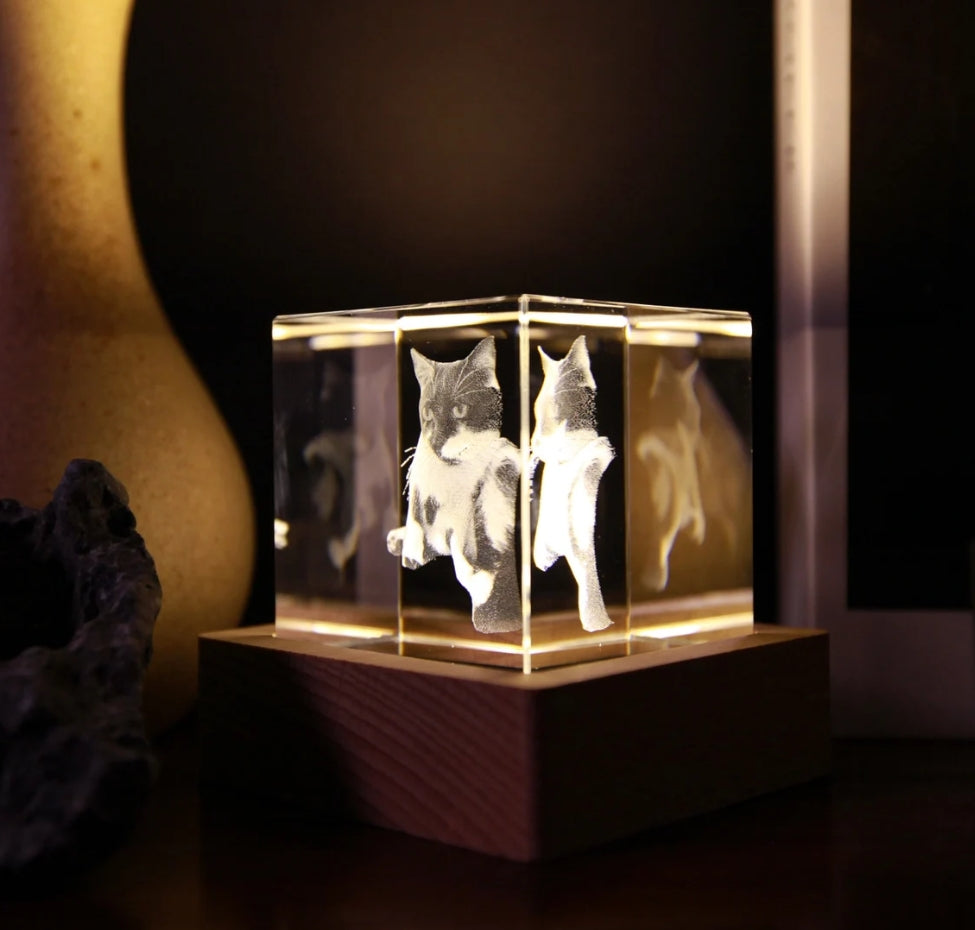 Xpopart Personalized 3D Pet Portrait Crystal Tower, Custom Picture, Pet 3D Pictures in Glass, Engraved Glass Picture Cube Keepsake, Couple Gift