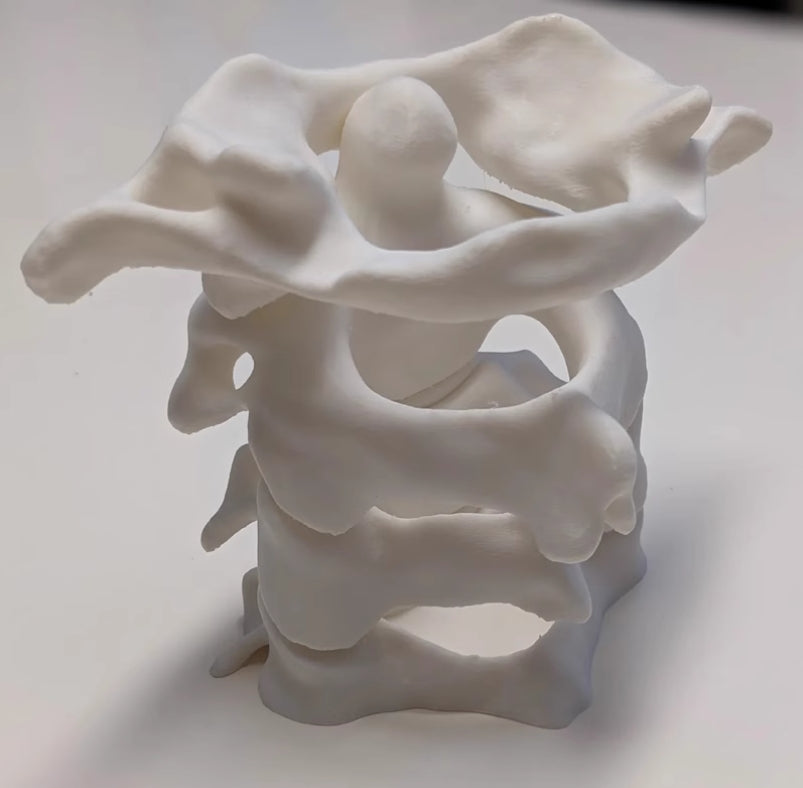 Xpopart 3D Printed Spine Pen Holder Desktop Ornament, Stationery Organizer, Orthopedic Doctor Gift.
