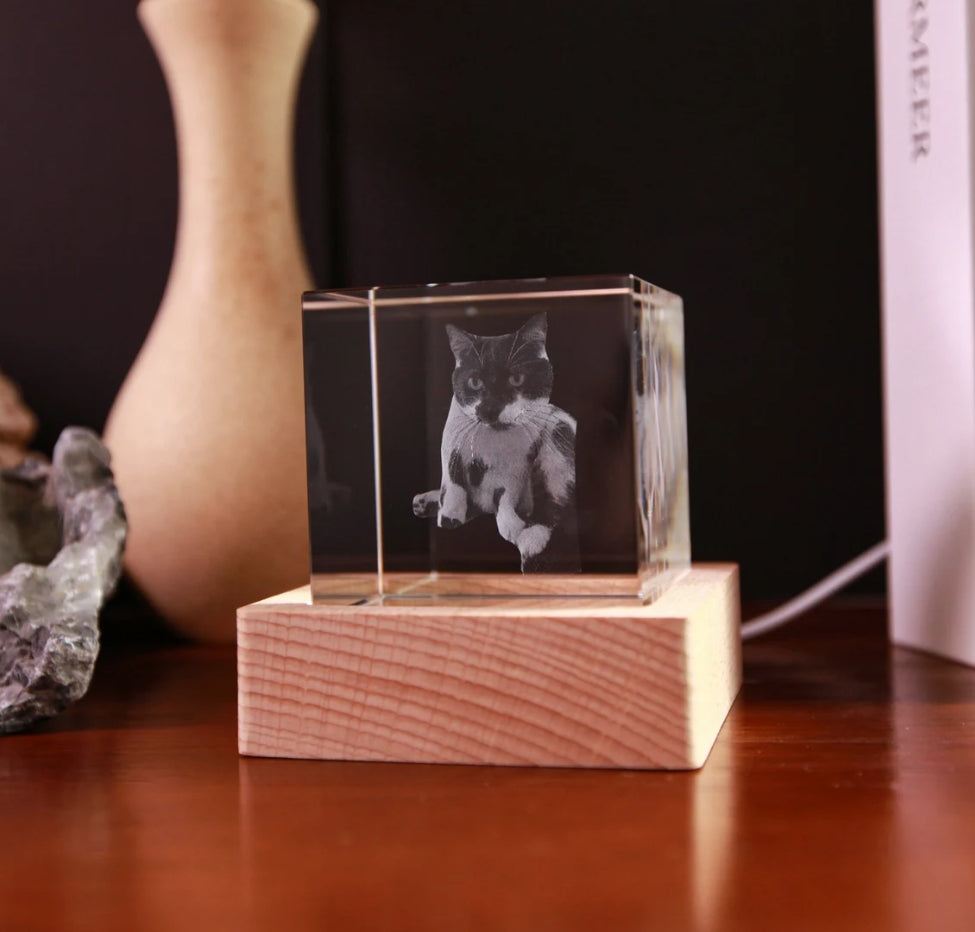 Xpopart Personalized 3D Pet Portrait Crystal Tower, Custom Picture, Pet 3D Pictures in Glass, Engraved Glass Picture Cube Keepsake, Couple Gift