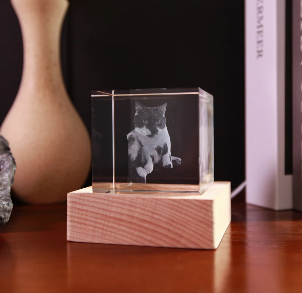 Xpopart Personalized 3D Pet Portrait Crystal Tower, Custom Picture, Pet 3D Pictures in Glass, Engraved Glass Picture Cube Keepsake, Couple Gift