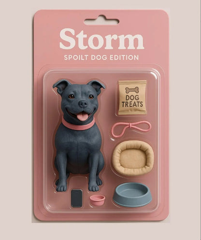 XpopArtCraft 3D printed Pet action figure from photo