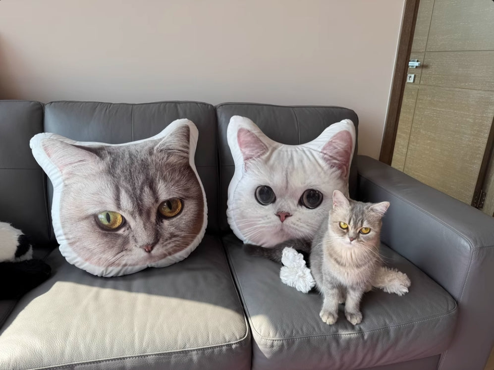 XpopArtCraft Custom 16in  pet shaped pillow from photo