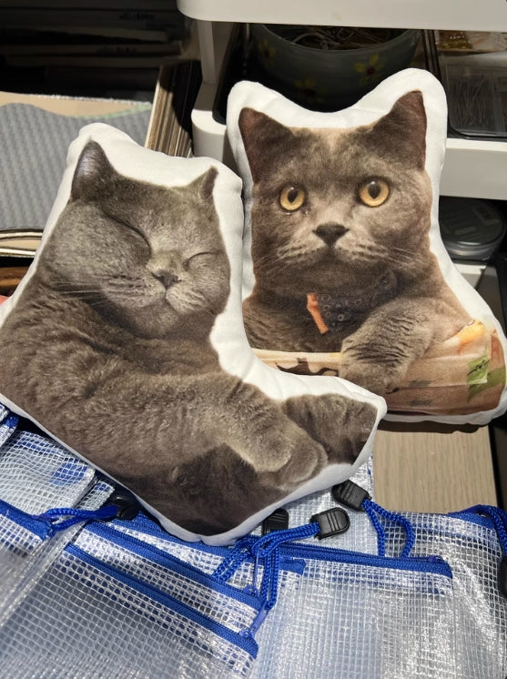 XpopArtCraft Custom 16in  pet shaped pillow from photo
