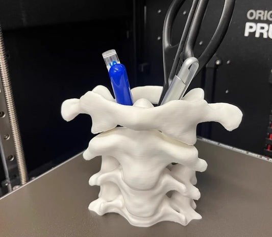 Xpopart 3D Printed Spine Pen Holder Desktop Ornament, Stationery Organizer, Orthopedic Doctor Gift.