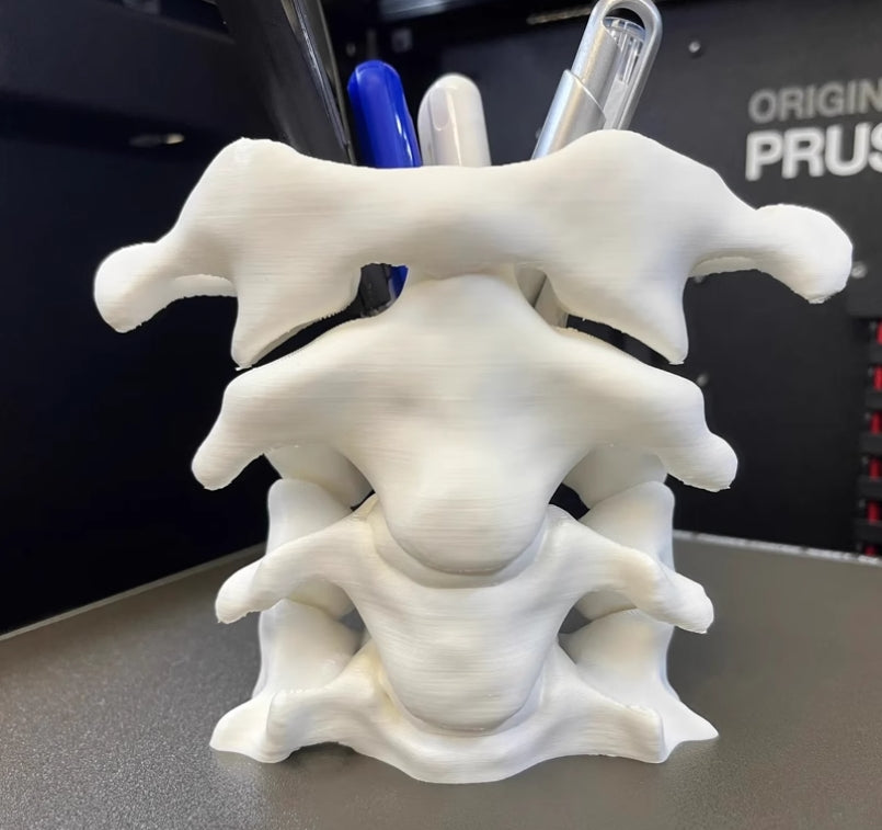 Xpopart 3D Printed Spine Pen Holder Desktop Ornament, Stationery Organizer, Orthopedic Doctor Gift.