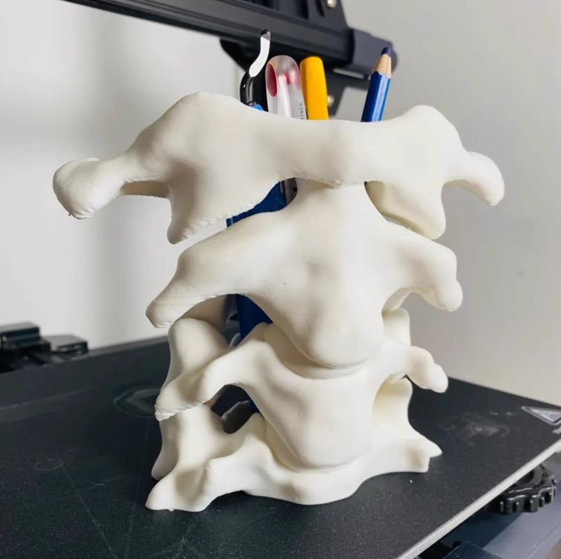 Xpopart 3D Printed Spine Pen Holder Desktop Ornament, Stationery Organizer, Orthopedic Doctor Gift.
