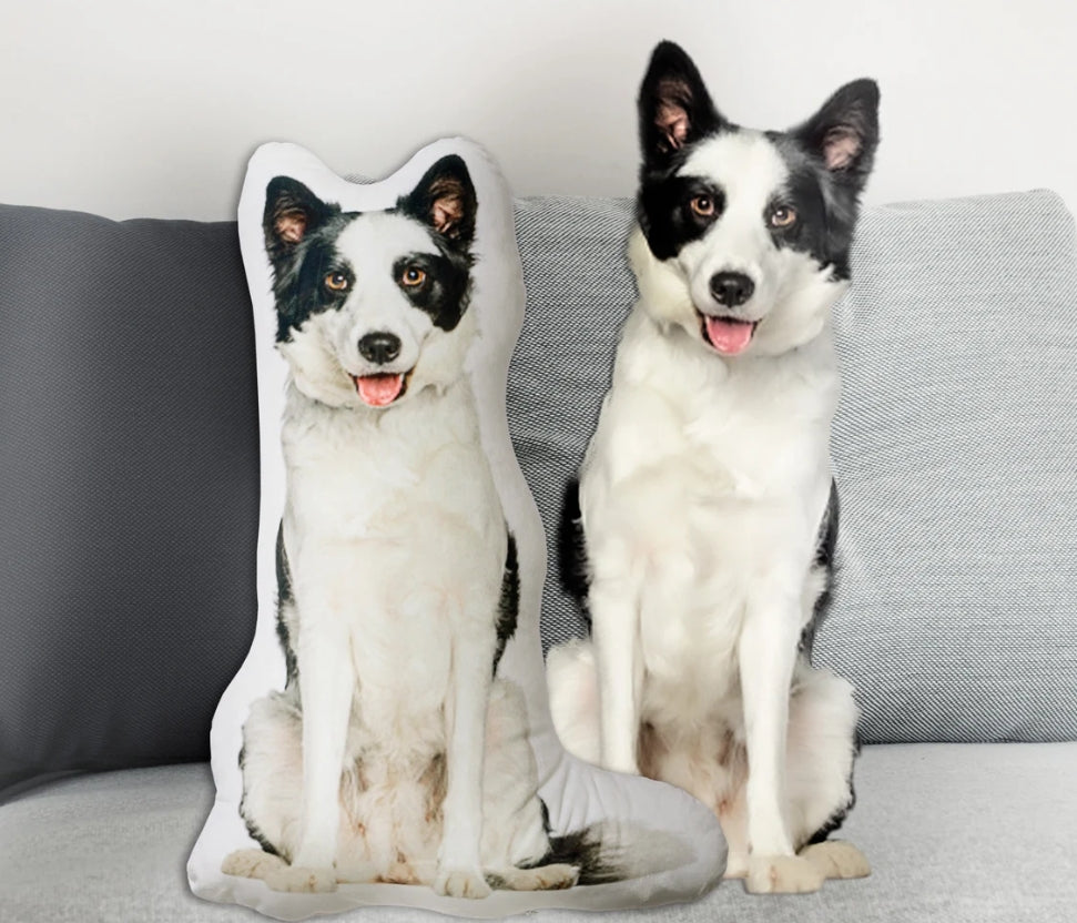 XpopArtCraft Custom 16in 3D pet Photo Pillow