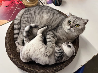 XpopArtCraft Custom 16in 3D pet Photo Pillow